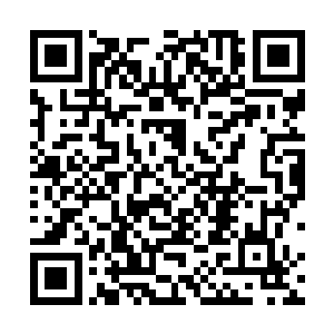 成年人和一个最高的不过到人胸腹的半大孩子去收集··二维码生成