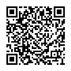 成年的全部都在军队之中挂了少将至中将的军衔二维码生成