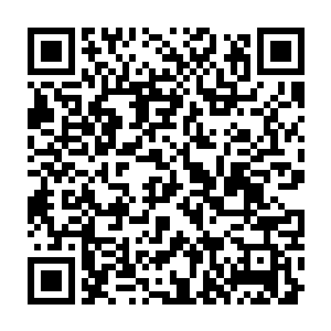 成年的奎牛的肉身甚至可以达到恐怖的先天灵宝的水平无比的恐怖二维码生成