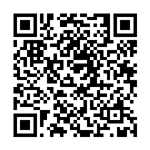 成阳公主带来的种子和技术并不是只有松木部落的人可以学二维码生成
