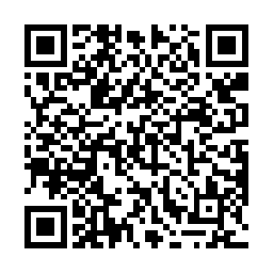 我……不甘心……我的原则一直是得不到的就毁掉……二维码生成