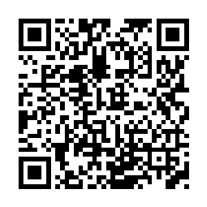 我……我从没……见过这么……这么厉害的……二维码生成