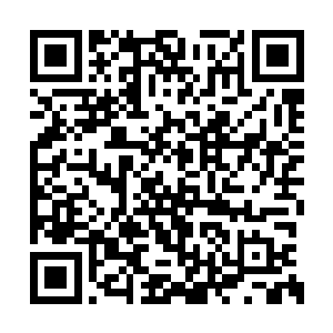 我……我们教育部肯定是支持离子通道实验室的二维码生成