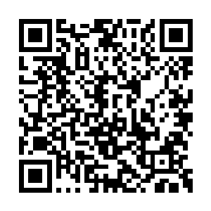我……我当然是……是支持……支持杨辰大少爷二维码生成