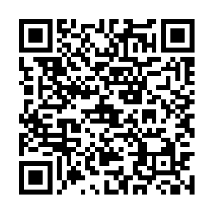 我……我提议你们赶紧趁着那些东西没有出来之前二维码生成