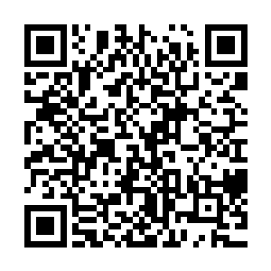 我……我要代表飞龙网吧……上了你……不不不……是打败你二维码生成