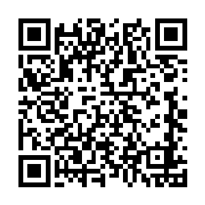 我……我要杀了你……你跑不掉的……你这个混蛋二维码生成