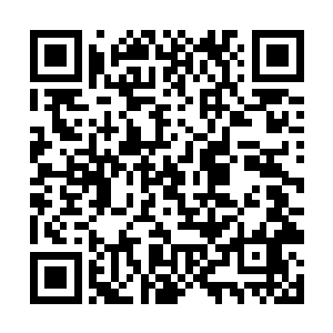 我……我记得方才那个尖峰是在我们对面的来着……二维码生成