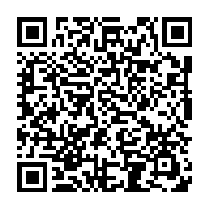 我一个人站在展厅的一角看着那些崭新的新车和来来往往看车的客户二维码生成