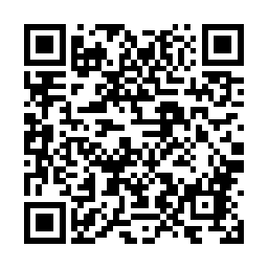 我一向对门阀世家里这些来来回回的破事不感兴趣二维码生成