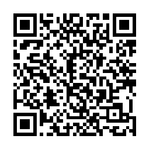 我一定会找两只又肥又大的公鸡来招待我们的外国友人的二维码生成