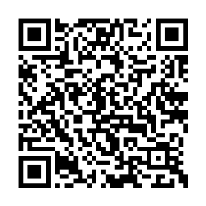 我一定会等你醒过来再带你出去和接应的人汇合二维码生成