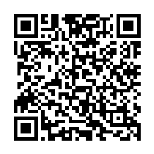 我一定会让那些曾经鄙视我们海马族的那些混蛋知道二维码生成