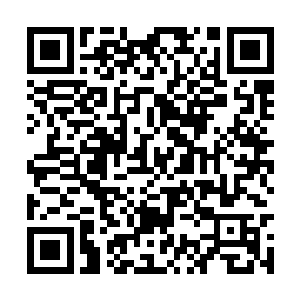 我一定要找无良大叔问问该怎么提升金蚕王的实力二维码生成