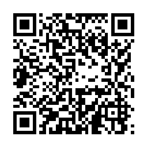 我一定还……不然他们真的要砍我的脚啊……呜呜……二维码生成