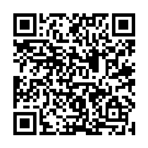 我一开始是真的没想到魔选者只是你为了骗我的表象二维码生成