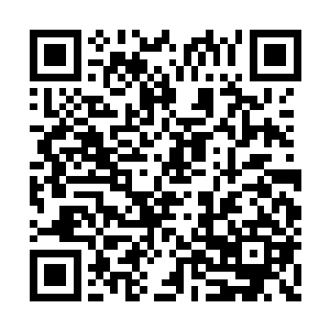 我一开始还真以为是南宫少爷赠与无忧仙子的呢二维码生成