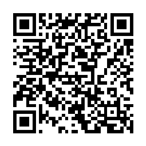 我一把拉住了准备跟地球修士们一起离开的天皇氏二维码生成