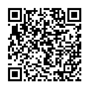 我一时有些不太敢相信欧先生竟会出现在祝老师的小诊所里二维码生成