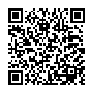 我一番专业的对话总让她哑口无言……每到这个时候二维码生成