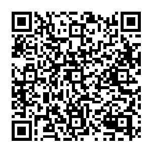 我一直以为让一个未成年的孩子去完成也许比让一个经验丰富的外交家去更容易成功二维码生成