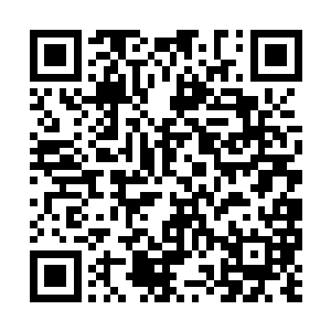 我一直以为那些有钱的家伙都习惯骂人不带脏字呢二维码生成