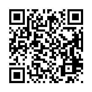 我一直在动用智道手段分析一切情报二维码生成