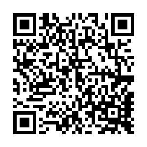 我一直没法适应这种安排的原因只有一部分和克劳迪娅有关二维码生成