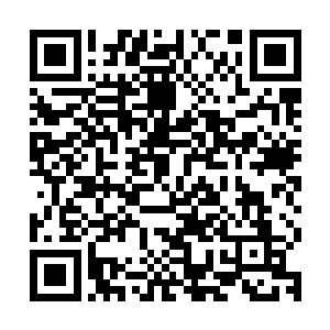 我一直没能挑战过里边的一个人所以我就一直没有离开这个监狱二维码生成