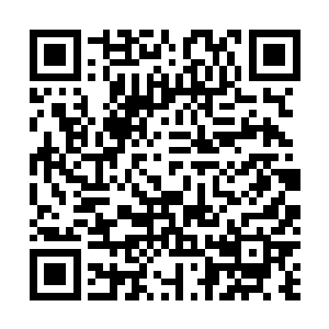 我一看你就是文静又漂亮的小姑娘……快快快……饿了吧二维码生成