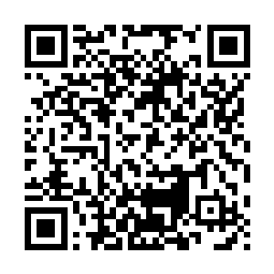 我一看到她在镜头前的表现――我就知道那不是我能染指的女人二维码生成