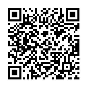 我一边小声把南下香江后的一番番经历讲给了麻姑爷二维码生成