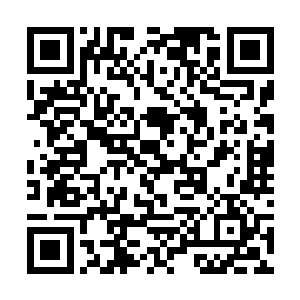 我一边说着一边将生死草和小红他们收进了符咒之中二维码生成