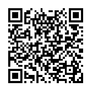 我下去的时候陈富贵已经开始打着电筒在寻找什么二维码生成