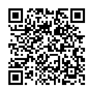 我不会因为那些孩子还不懂事就占他们的便宜的二维码生成