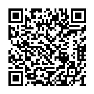 我不会容许岩城内四大家族任何一个弟子活下去二维码生成