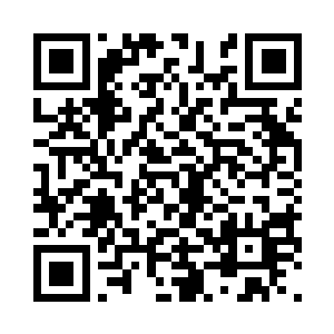 我不会将自己的生命安全交给不信任的队长二维码生成
