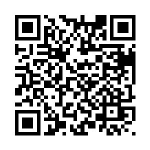 我不会让任何小猫小狗打你主意的二维码生成