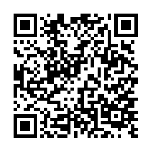 我不会让林家的血脉跟一个卖羊肉串的混合在一起……二维码生成