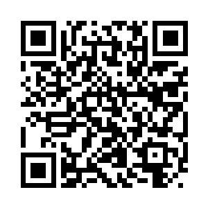 我不信这畜生一辈子都窝在水底不出来觅食二维码生成