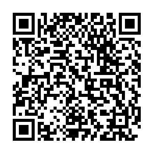 我不可能只将那标本室裏死得心满意足还意犹未尽的灵体給送走吧二维码生成
