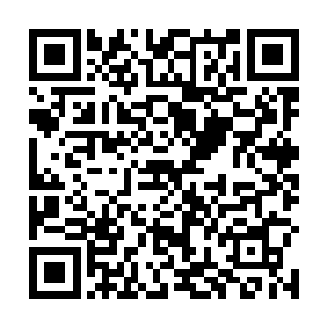 我不希望地震门和云阵门还有人能够站在我的视野之中二维码生成