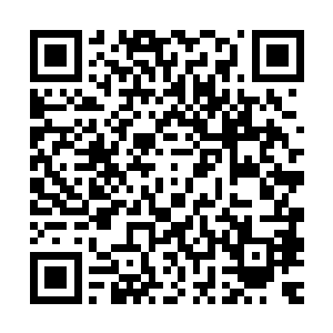 我不希望市委市府对我们公安机关的殷切期望最后也像以往一样二维码生成