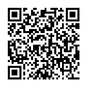 我不希望我自己在辽省的工作最终以一个不光彩的结果收尾二维码生成