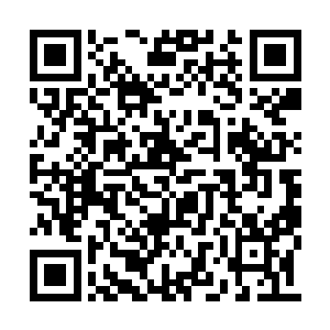 我不希望看到摩天之界的人族各域发生大的动荡二维码生成