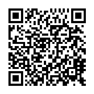 我不帮着许紫烟去祸害你大罗天就不错了・凭什么去帮他啊二维码生成