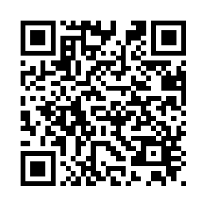 我不想手上沾满了金丹大圆满的血二维码生成