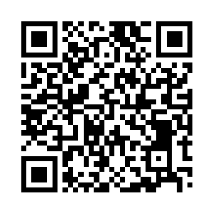 我不敢保证能让小猫儿一步登天……不过二维码生成