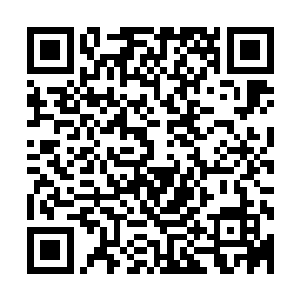 我不明白这两分是怎么多出来的……我们一项一项来进行对比二维码生成