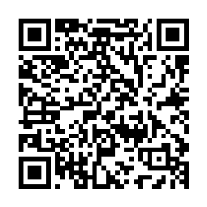 我不是人所以呼吸系统并不重要即使在水中也能够长时间逗留二维码生成